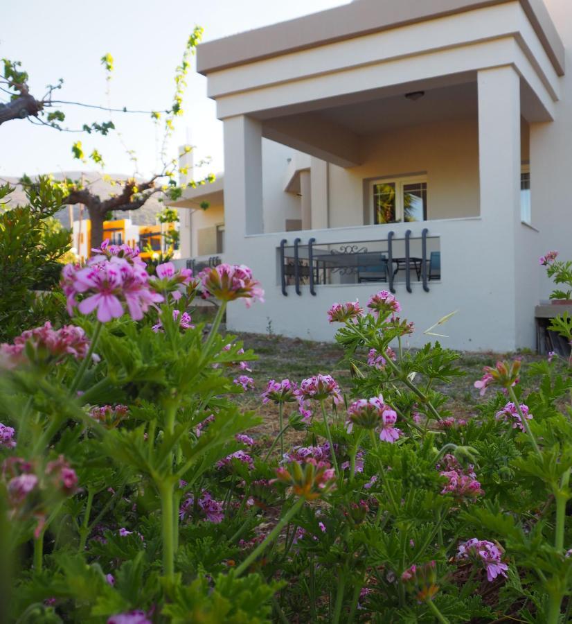 Olive House Villa Malia Eksteriør bilde