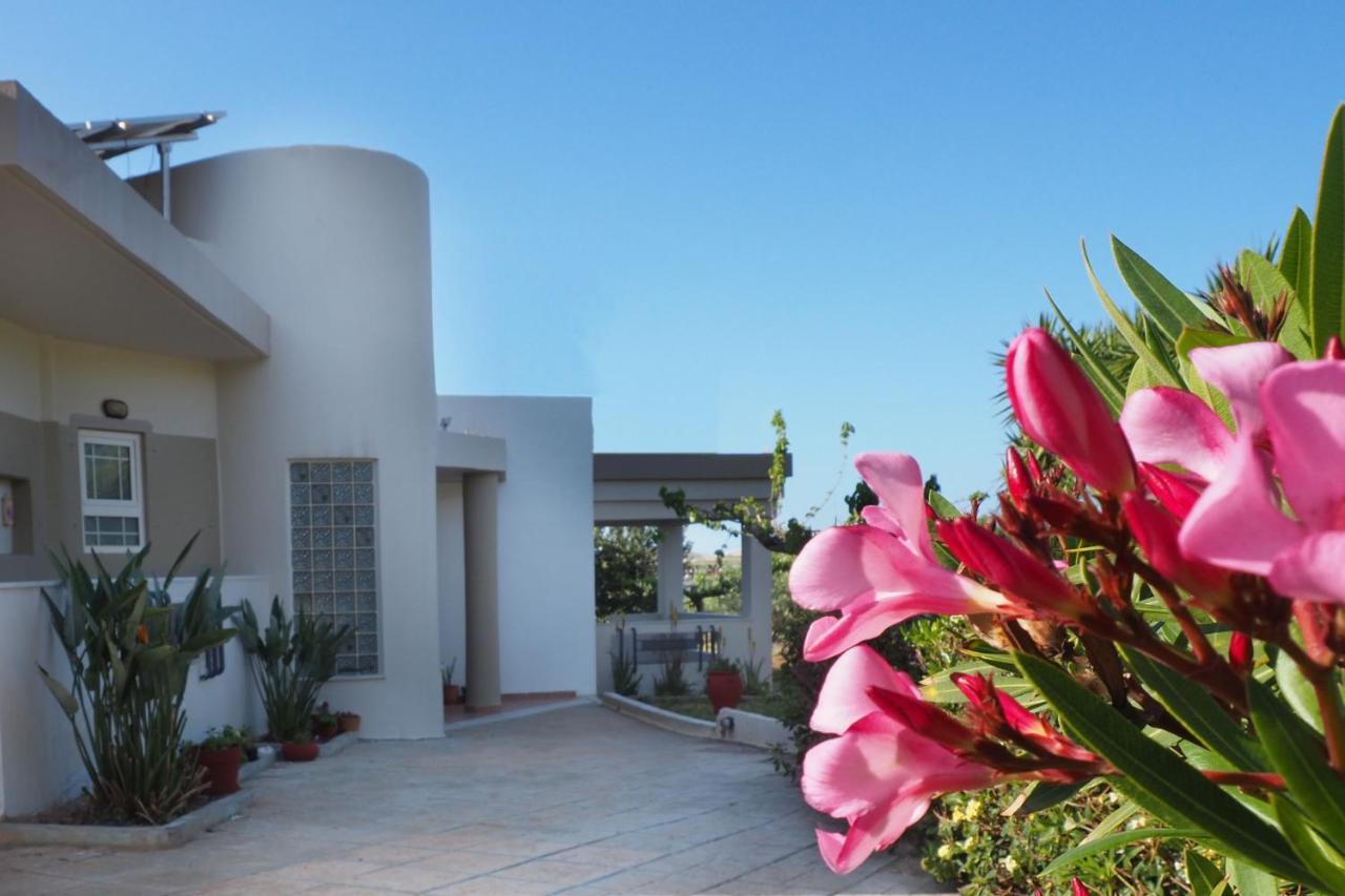 Olive House Villa Malia Eksteriør bilde