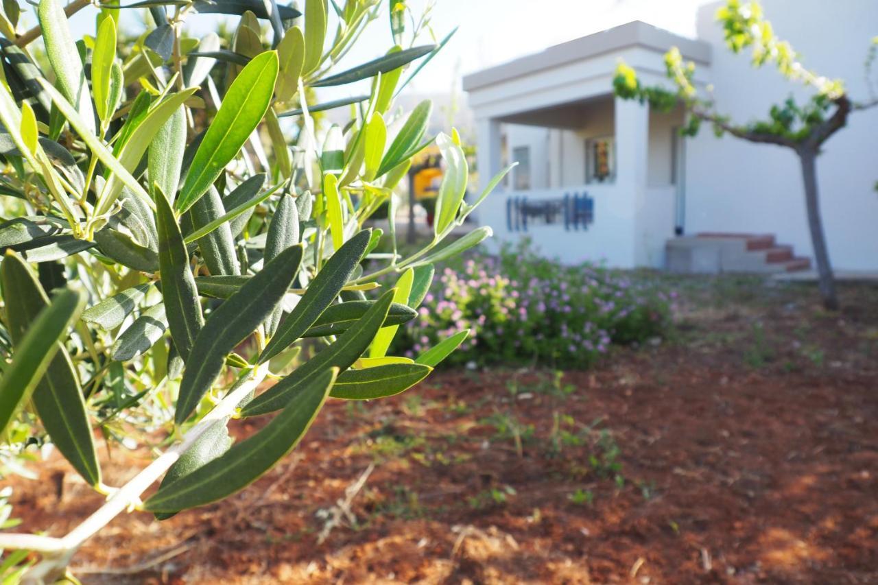 Olive House Villa Malia Eksteriør bilde